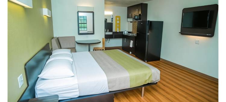 德克萨斯帕勒斯坦 6 号汽车旅馆(Motel 6 Palestine, TX)图片