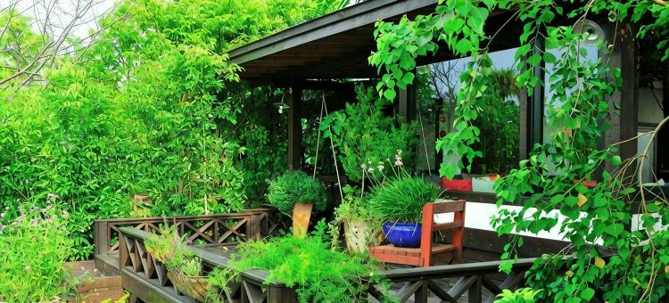 苗栗花自在食宿馆图片