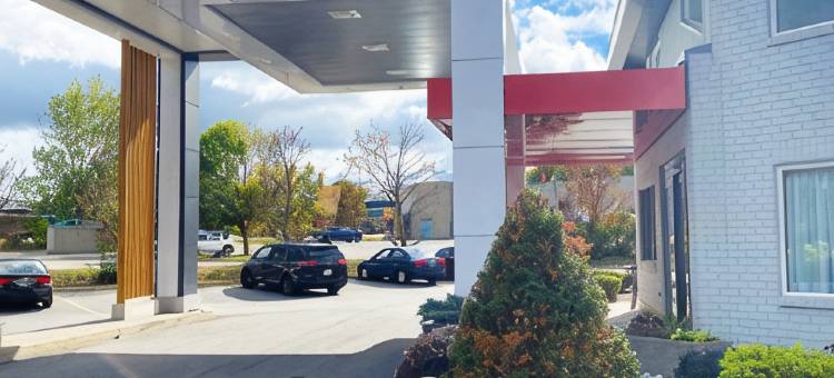 柴登舒适酒店(Comfort Inn)图片