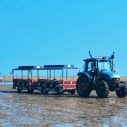 山东青岛+日照+崂山风景区+海合安青岛极地海洋公园5日4晚跟团游