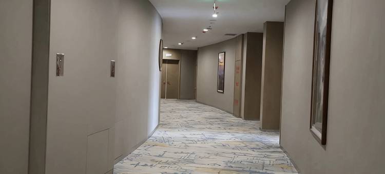 王莽岭云上民宿图片