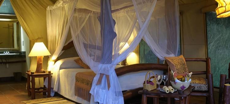 玛布斯墨维塞雷娜豪华帐篷(Mbuzi Mawe Serena Camp)图片