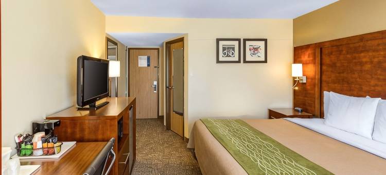 北威奇托福尔斯舒适酒店(Comfort Inn Wichita Falls North)图片