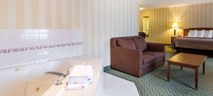品质酒店机场店(Quality Inn Airport)图片