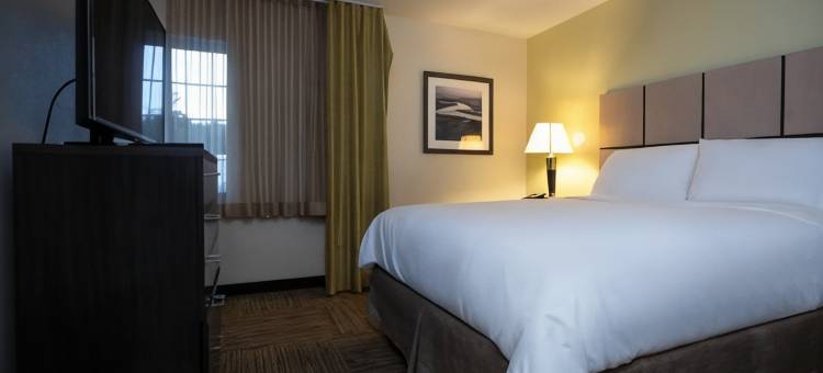 洲际Candlewood套房酒店科洛尼尔海茨-李堡(Candlewood Suites COLONIAL HEIGHTS-FT LEE by IHG)图片