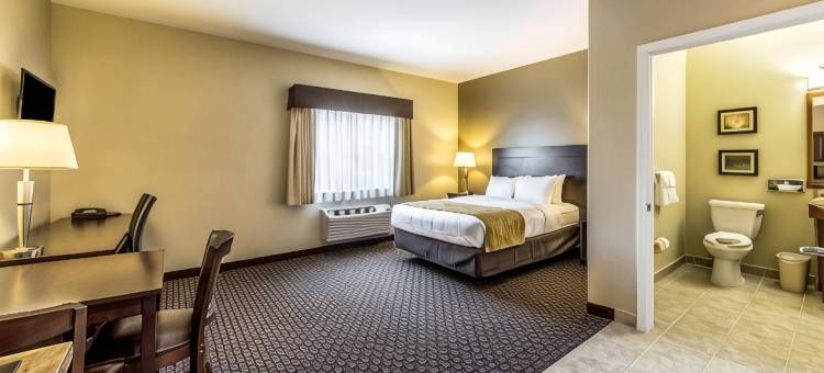 巴恩斯维尔-弗拉克维尔舒适套房酒店(Comfort Inn & Suites Barnesville - Frackville)图片