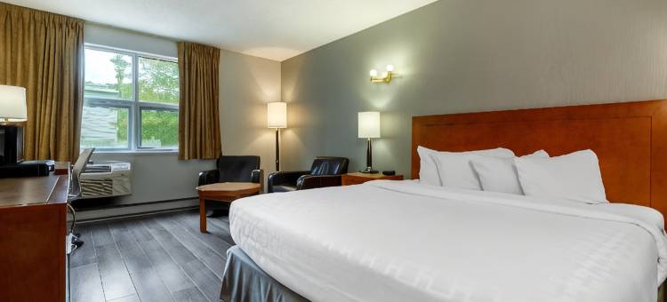 克拉丽奥波恩特-魁北克机场酒店(Clarion Pointe Quebec Airport)图片