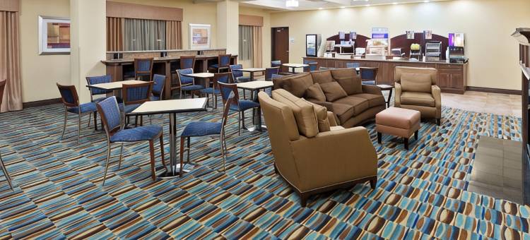 洲际智选假日套房酒店拉伯克西南 - 沃尔福斯(Holiday Inn Express & Suites LUBBOCK SOUTHWEST - WOLFFORTH by IHG)图片
