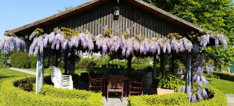 T 胡格荷光家庭旅馆('t Hooghe Licht Bed & Breakfast)图片