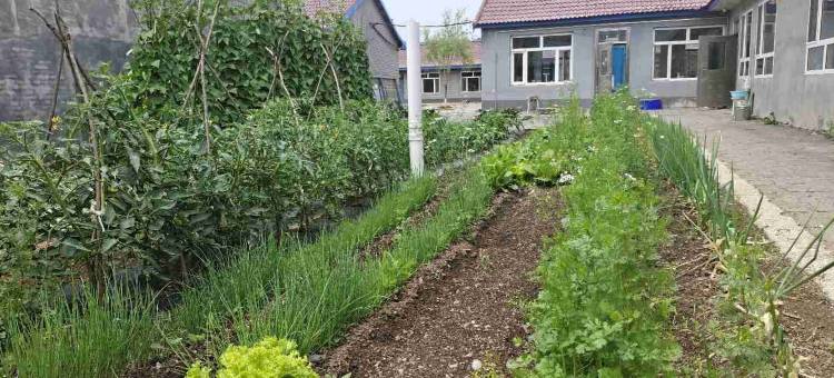 辉南田园农家乐图片