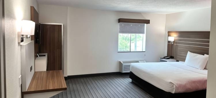 里西亚斯普林亚特兰大华美达酒店(Ramada by Wyndham Lithia Springs Atlanta)图片