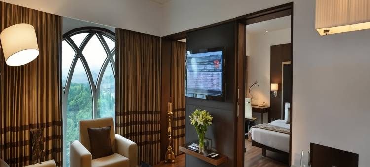 萨诺瓦波蒂科莫耶蒂克科特酒店(Majestic Court Sarovar Portico)图片