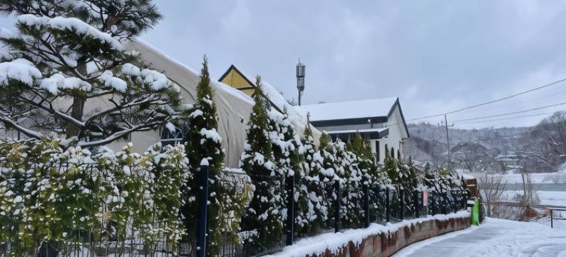 Sarah's Small Garden图片