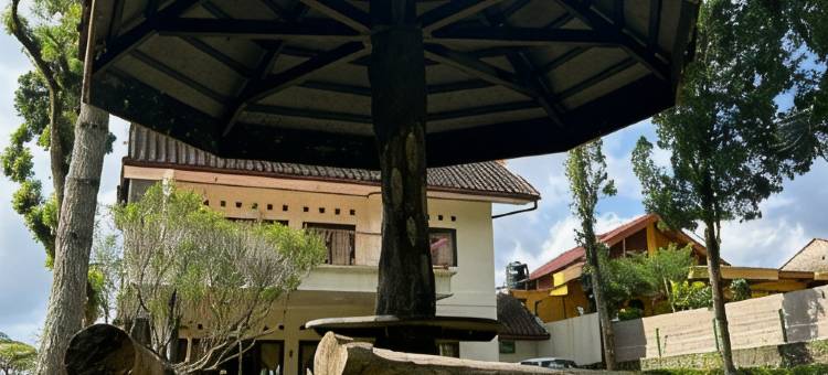 Sejuk Village图片