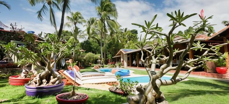 绿洲旅馆(Pousada Oasis)图片