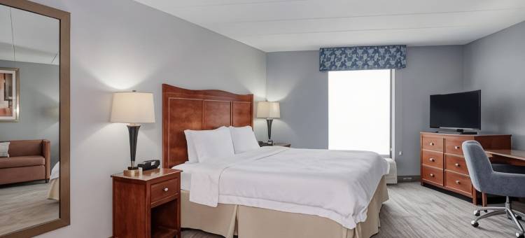 巴尔的摩白色沼泽欢朋旅馆(Hampton Inn Baltimore/White Marsh)图片