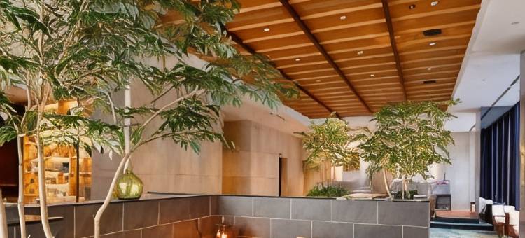 大阪本町 都城市酒店(Miyako City Osaka Hommachi)图片