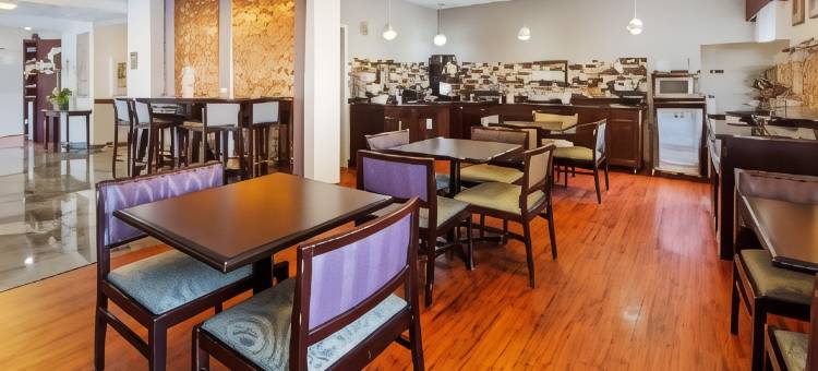 南奥黑尔国际机场贝斯特韦斯特优质酒店(Best Western Plus OHare International South Hotel)图片