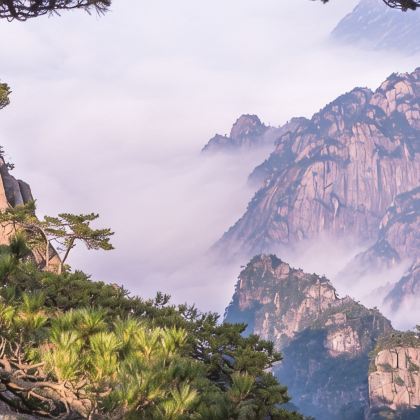 婺源+宏村4日3晚私家团