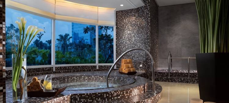 丽思卡尔顿酒店雅加达太古广场公寓(The Residences at The Ritz-Carlton Jakarta, Pacific Place)图片