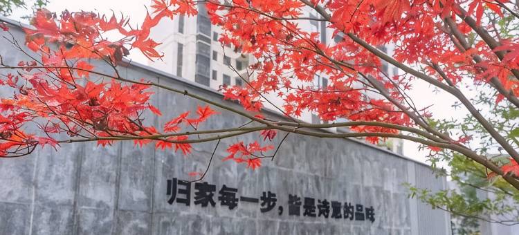 凯森酒店图片