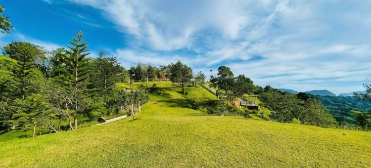 The Pinehill Farm图片