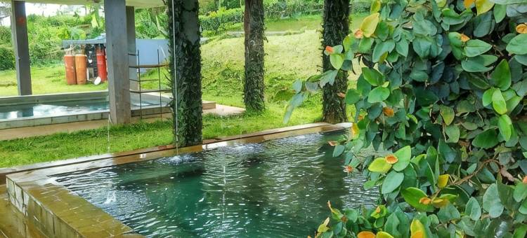 茶园度假村(Tea Garden Resort)图片