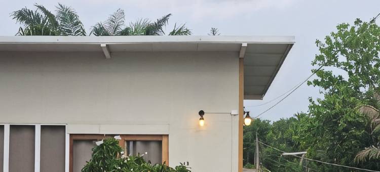 88 高级酒店(88 Fine Hotel @ Suratthani Airport)图片