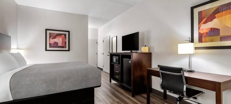 查塔努加哈密尔顿广场品质酒店(Quality Inn Chattanooga Hamilton Place)图片