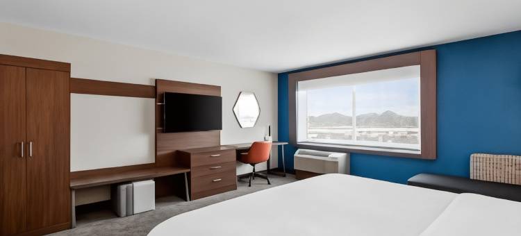 底特律西北智选假日套房酒店-利沃尼亚(Holiday Inn Express & Suites DETROIT NORTHWEST - LIVONIA by IHG)图片