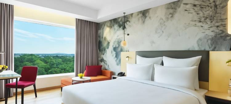 诺富特齐普尔会议中心酒店(Novotel Jaipur Convention Centre)图片