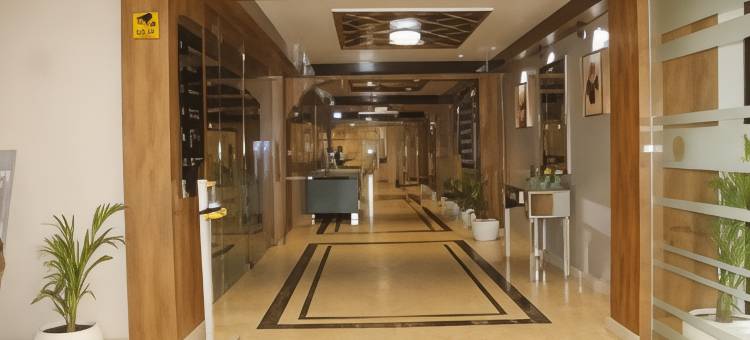 豪华旅馆酒店(Luxus Inn Dhanbad)图片
