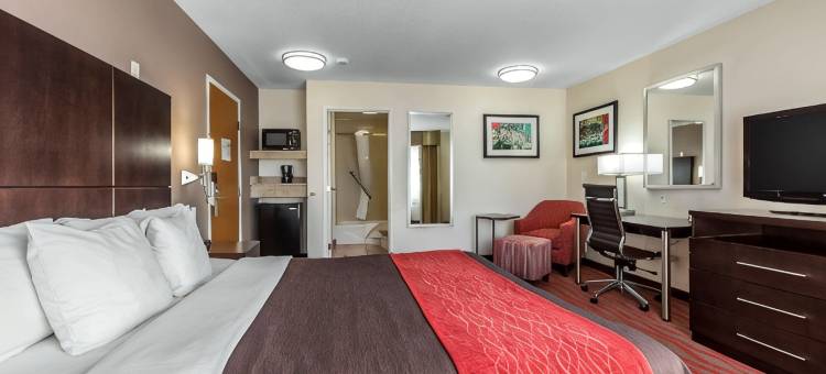 洛杉矶近好莱坞舒适酒店(Comfort Inn Los Angeles near Hollywood)图片
