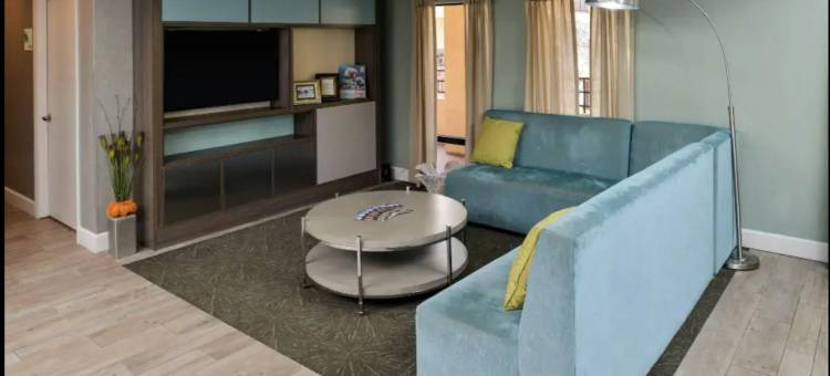 坦帕红屋顶普拉斯套房酒店(Red Roof PLUS+ & Suites Tampa- Busch Gardens)图片