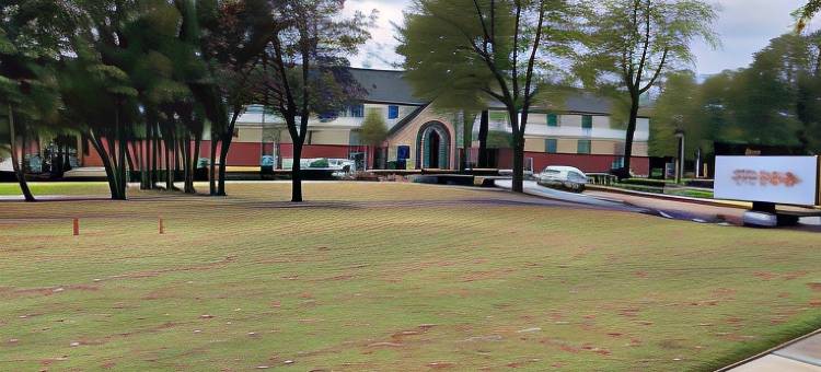 曼非斯索尼斯塔简单套房酒店(Sonesta Simply Suites Memphis)图片