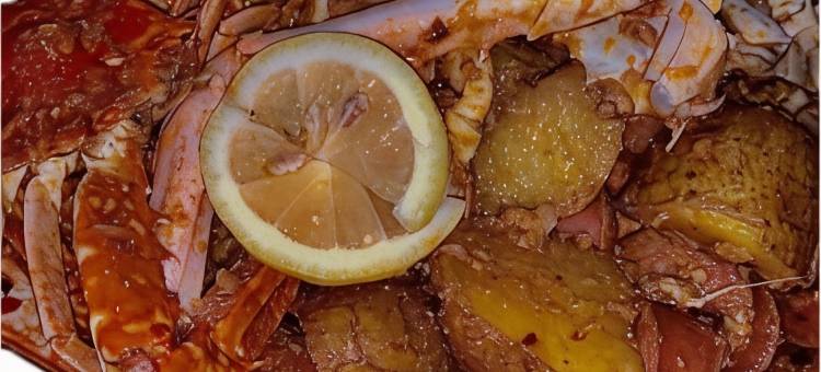 马尔克斯别墅(Villa Marquez)图片