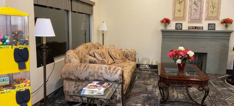 都柏林骑士套房酒店(Knights Inn & Suites Dublin)图片