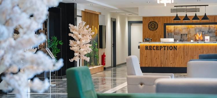 特拉布宗柏林套房酒店(BERLİN SUITE HOTEL)图片