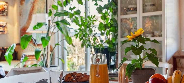 克拉拉(Klara)图片