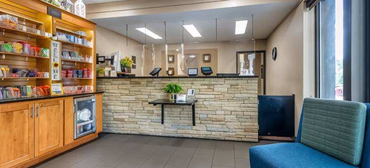 阿什维尔东-蓝岭山行车通道舒适酒店(Comfort Inn Asheville East-Blue Ridge Pkwy Access)图片