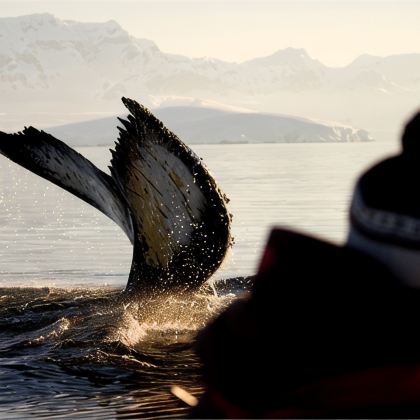 南极洲+阿根廷17日跟团游