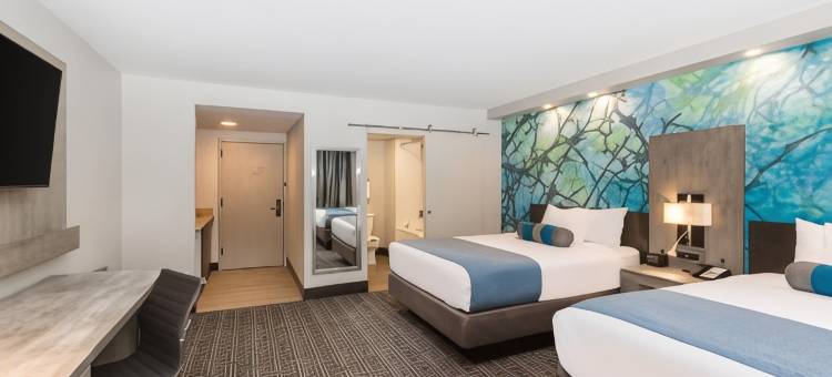 古德利茨维尔蔚景温德姆酒店(Wingate by Wyndham Goodlettsville)图片