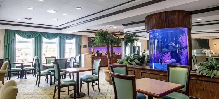 凯艺套房酒店(Quality Inn & Suites)图片