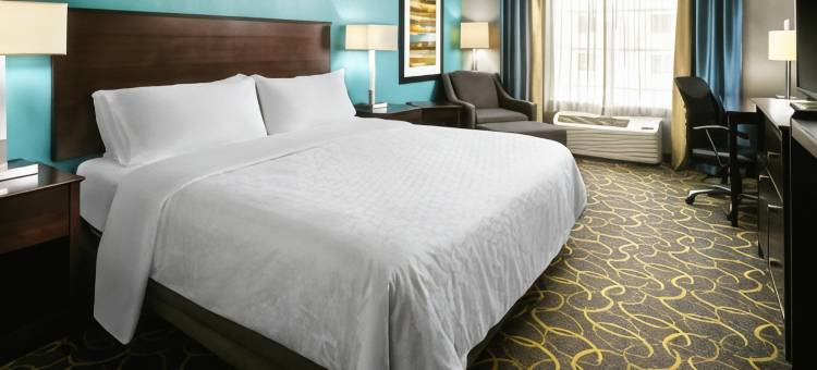 Holiday Inn Express & Suites DFW -葡萄(Holiday Inn Express & Suites DFW AIRPORT - GRAPEVINE by IHG)图片