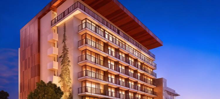 帕洛阿尔托诺布酒店(Nobu Hotel Palo Alto)图片