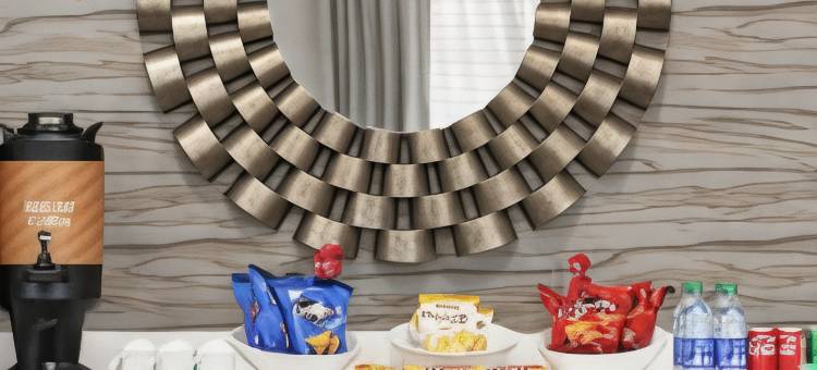 麦克多诺Homewood Suites by Hilton(Homewood Suites by Hilton McDonough)图片