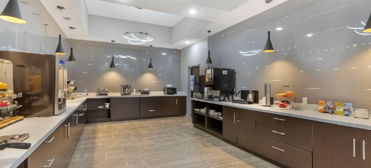 温德姆拉昆塔科勒尔维尔爱荷华市酒店及套房(La Quinta Inn & Suites by Wyndham Coralville Iowa City)图片