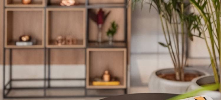 圣利奥波尔杜城际酒店(Intercity Sao Leopoldo)图片