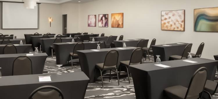 夏洛特机场希尔顿花园酒店(Hilton Garden Inn Charlotte Airport)图片