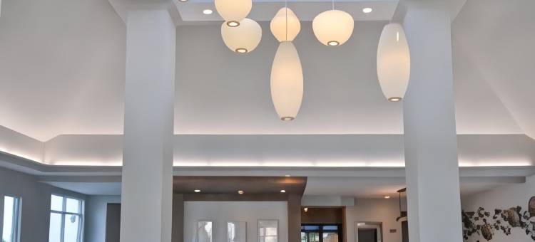 希尔顿花园旅馆-杰克逊维尔橘园(Hilton Garden Inn Jacksonville Orange Park)图片